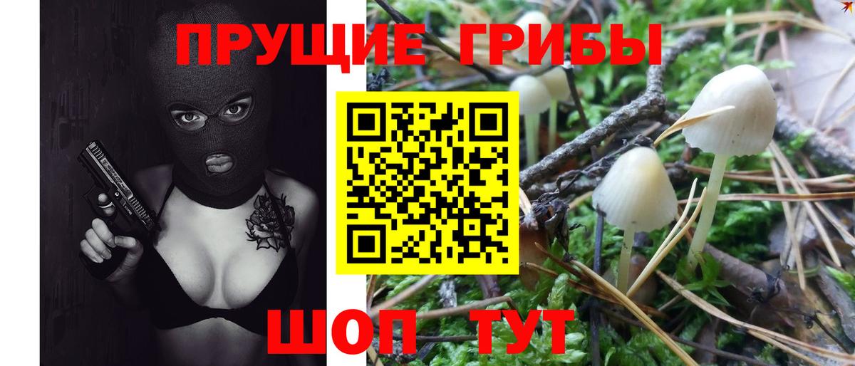 Галлюциногенные грибы Cubensis  Вход с VPN  Красноармейск 